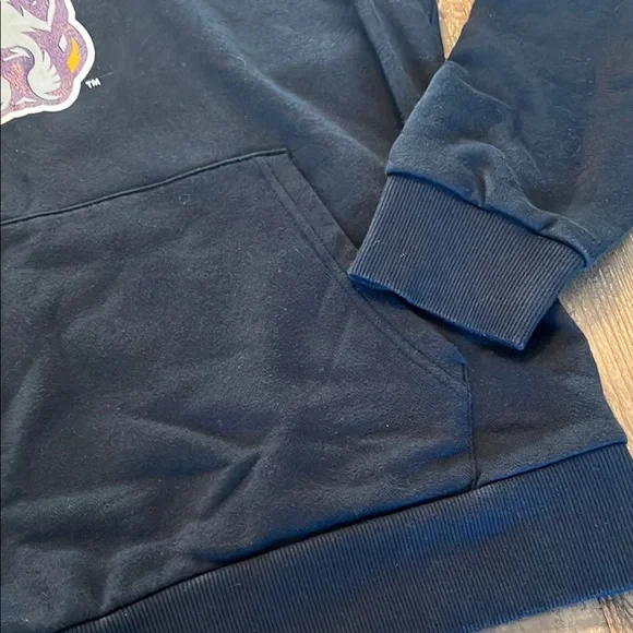 Under Armour Black Hoodie with GREAT DANES UAlbany Dog Logo University at Albany - Picture 4 of 7